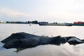 Sà lan tông chìm bè cá, khoảng 18 tấn cá thoát ra sông Tiền 