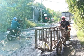 Bến Tre: Dân bức xức vì đường hư hỏng, nguy cơ tai nạn 