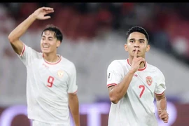 “Đội tuyển Indonesia không dự được World Cup 2026, tôi chịu trách nhiệm”