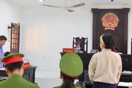 Đại diện của bà Nguyễn Phương Hằng trình bày gì tại tòa?