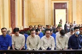 Vụ tiếp tay buôn lậu, cựu lãnh đạo Chi cục Thú y Vùng VI nói 'ân hận, xấu hổ' 