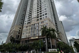 Ngày mai, xét xử cựu chủ tịch Quốc Cường Gia Lai Nguyễn Thị Như Loan
