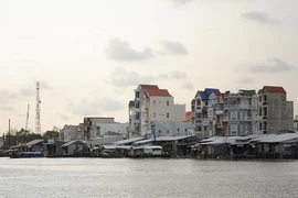 Một gốc huyện Trần Văn Thời.