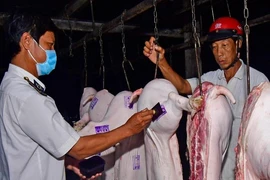Cà Mau: Nhắc nhở 5 lãnh đạo huyện, xã lơ là với dịch tả heo 