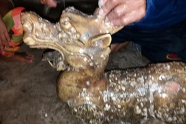 8 tượng quái thú được bí mật thả xuống biển Cà Mau