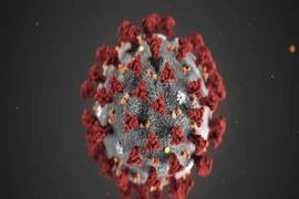 Hình ảnh virus Corona (nCoV 2019): Hình minh họa