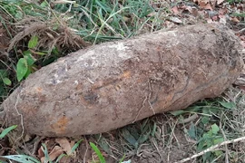 Phát hiện quả bom lớn ở rừng U Minh Hạ