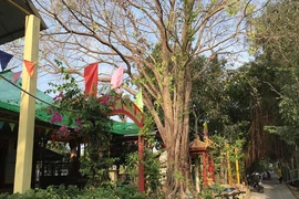 Địa điểm xảy ra vụ việc. Ảnh: CTV