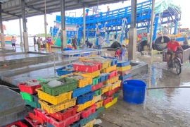 Cà Mau: Quyết liệt bảo vệ nguồn lợi thủy sản, xử lý nghiêm vi phạm