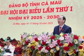 Ông Nguyễn Hồ Hải được chỉ định làm Bí thư Tỉnh ủy Cà Mau nhiệm kỳ 2025 - 2030