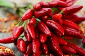 Vì sao ớt được xem là siêu thực phẩm cho người dùng?