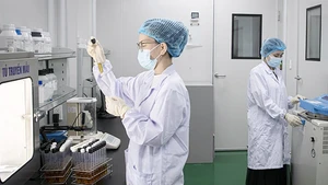 Chính phủ đã ban hành Nghị định 249/2025 quy định cơ chế, chính sách thu hút chuyên gia khoa học, công nghệ, đổi mới sáng tạo và chuyển đổi số. Ảnh: VGP