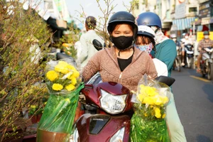 Chợ hoa 'Trên bến dưới thuyền' Tết 2025: Lễ hội sông nước độc đáo