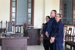 Sau 2 tháng đến giúp việc nhà cho em, chị gái bị phạt 15 năm tù