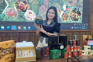 Sở hữu loài sâm quý hiếm, Việt Nam học được bài học gì từ sâm Hàn Quốc?