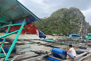 Đề nghị thống kê, hỗ trợ kịp thời người nuôi trồng thủy sản bị thiệt hại do bão số 3