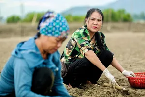 Nông dân có lợi nhuận cao nhất Việt Nam: Hơn 20 tỉ đồng