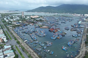 Âu thuyền và cảng cá Thọ Quang, quận Sơn Trà, TP Đà Nẵng là cảng cá lớn nhất miền Trung với khoảng 2.000 tàu thuyền neo đậu thường xuyên. Ảnh: MINH TRƯỜNG