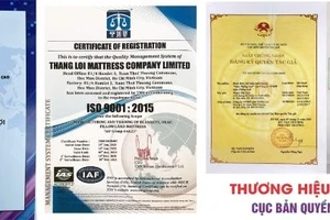 Cách phân biệt nệm Thắng Lợi chính hãng