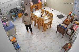 Kẻ gian dùng sào lấy chìa khóa, ngang nhiên mở cửa trộm tài sản