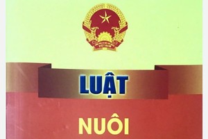 Pháp luật không cho phép anh, chị, em nhận nhau làm con nuôi. Ảnh minh họa