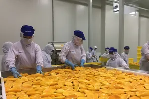 Tiếp sức để doanh nghiệp Việt tăng tốc ‘về đích’