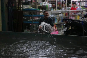 Người dân chật vật tát nước sau cơn mưa lớn