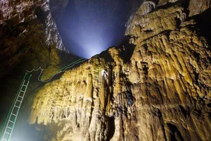 Chuyên gia lên tiếng về cáo buộc 'hại' Sơn Đoòng