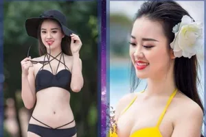 'Hoa hậu Hoàn vũ VN 2017' bất ngờ dời cuộc thi