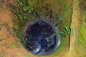 Tưới cà phê, tá hóa thấy xác người dưới giếng