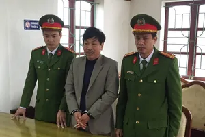 Bắt tạm giam giám đốc doanh nghiệp phá 41 ha rừng