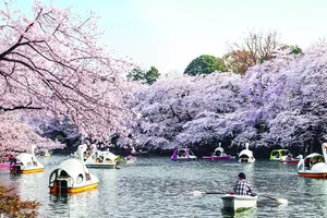 Vì sao người Việt đổ xô đi Mỹ, Úc, Nhật...ăn Tết?