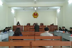 Xử lại vụ Việt kiều kêu oan tội giao cấu vì liệt dương