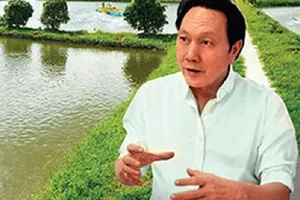 Vua cá tra Dương Ngọc Minh lỗ vì... nuôi heo công nghệ