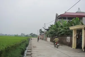 Bị truy tố từ chuyện không tham gia sửa đường đi chung