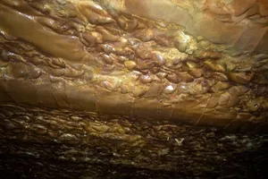 Phát hiện 1 hang động kỳ lạ giữa rừng ở Quảng Ninh