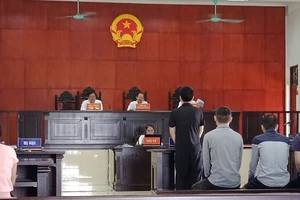 Người nước ngoài dùng 29 thẻ ATM giả rút tiền