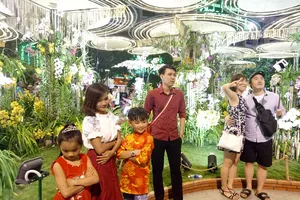 Rộn ràng đường hoa Nguyễn Huệ dịp xuân Kỷ Hợi