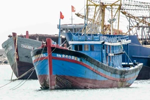 Tết quạnh quẽ nhà 'sói biển'