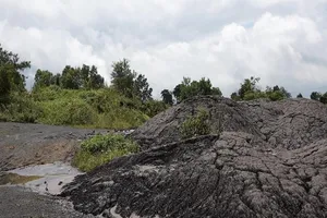  Lãnh đạo công ty đổ thải chưa tới làm việc