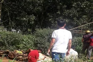 Tạm giữ nghi can giết người trên đường đi tìm vợ