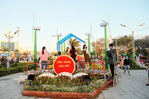 Ngắm vườn hoa xuân Tân Sửu 2021 đặc sắc tại Ninh Thuận 