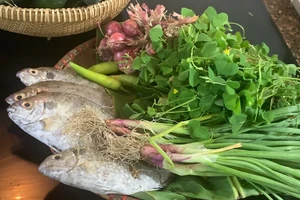 Cỏ ba lá cho món canh chua cá ngọt chua thanh mát