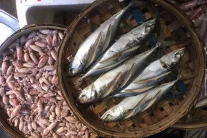 Đi chợ quê từ đầu đến cuối vẫn không thôi chọn món 