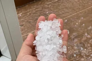 TP Đà Lạt xuất hiện mưa đá, nhiều hoa màu bị hư hại