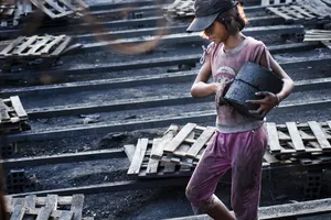 Ảnh dự thi “Vì môi trường xanh” (Phần 2)