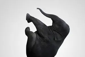 Khiêm nhường để thành công