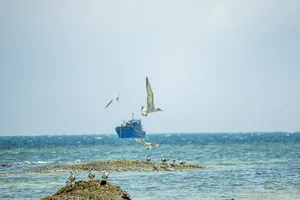 Cù Lao Câu hút hồn du khách (Phần 2)