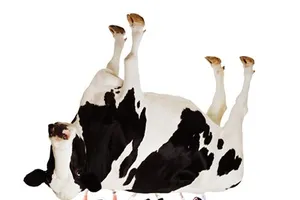 Chạy đua nguồn nguyên liệu