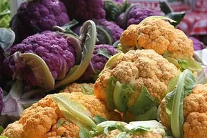 Cho phép sử dụng thực vật biến đổi gen làm thực phẩm